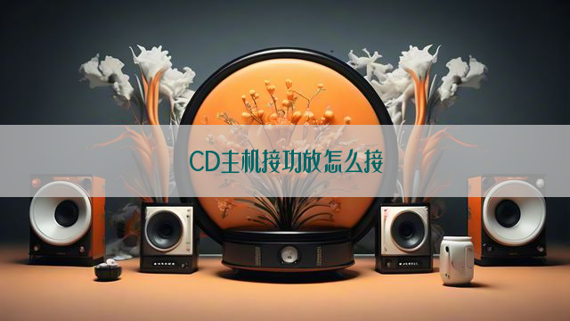 CD主机接功放怎么接