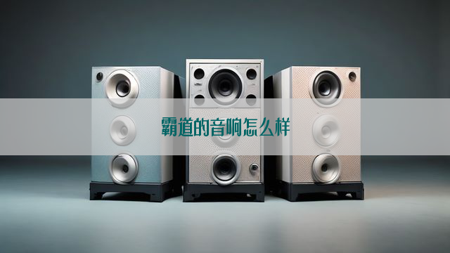 霸道的音响怎么样