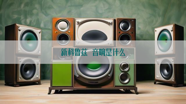 新科鲁兹 音响是什么