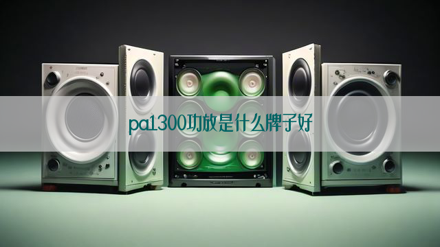 pa1300功放是什么牌子好