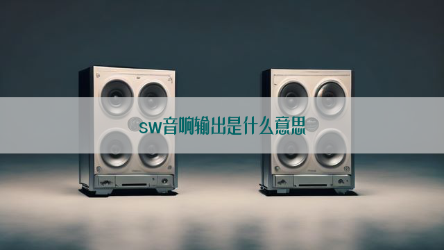 sw音响输出是什么意思