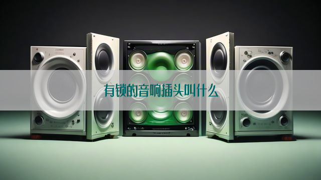 有锁的音响插头叫什么