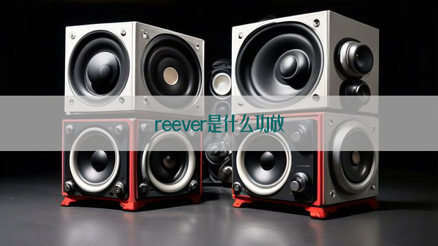 reever是什么功放