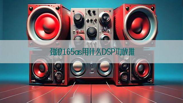 劲浪165as用什么DSP功放推