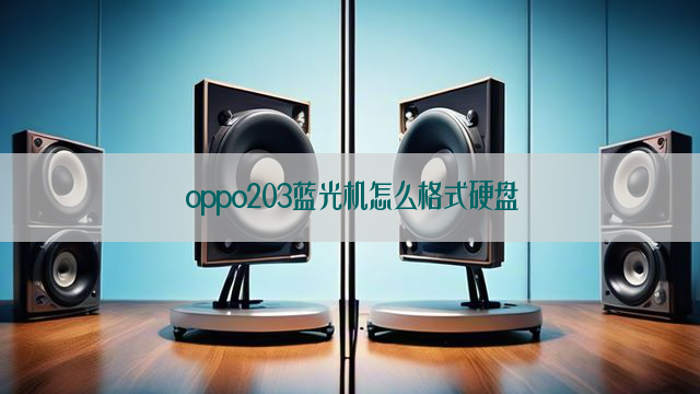 oppo203蓝光机怎么格式硬盘