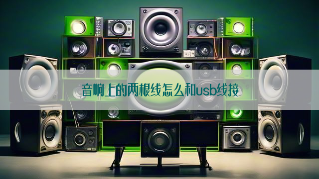 音响上的两根线怎么和usb线接